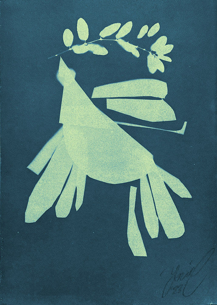 "WISHFUL/THINKING" Cyanotype prints
