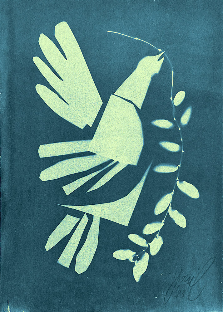 "WISHFUL/THINKING" Cyanotype prints