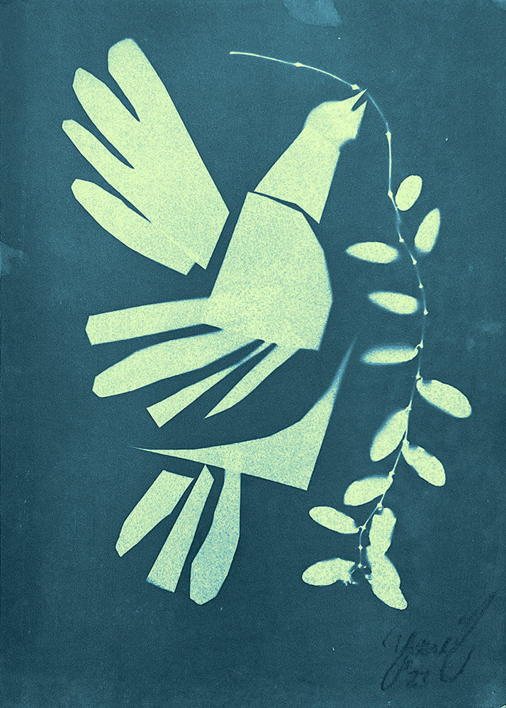 "WISHFUL/THINKING" Cyanotype prints