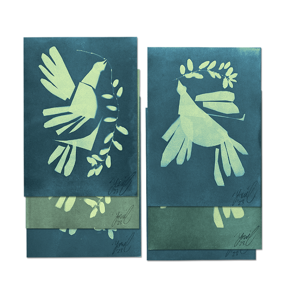 "WISHFUL/THINKING" Cyanotype prints